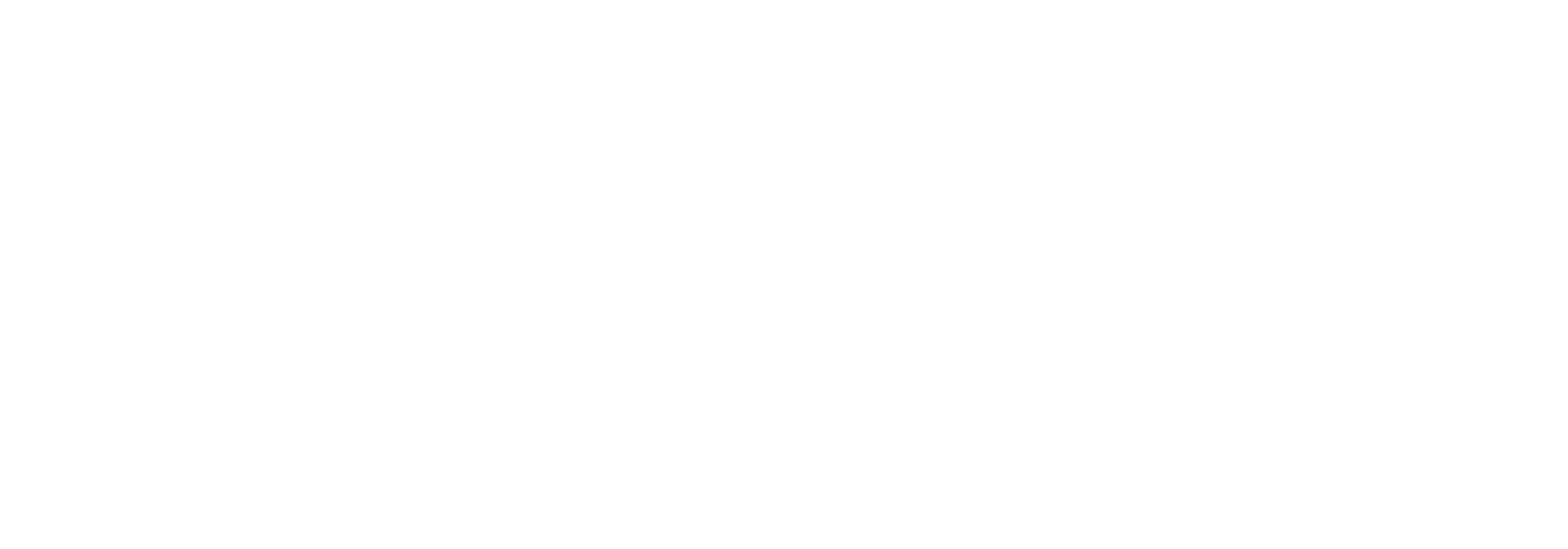 SIMS